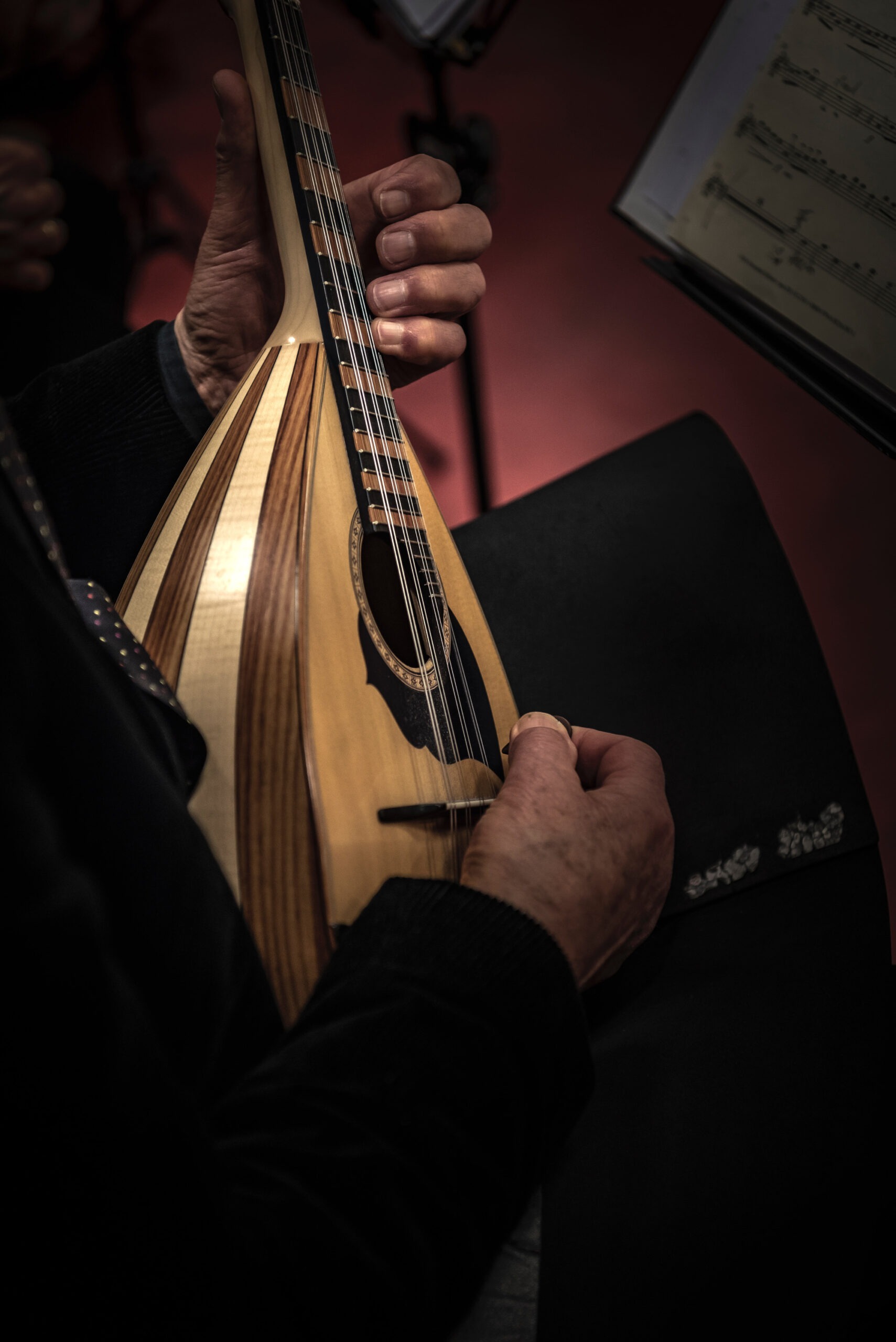 Voorjaar 2025 Kennismakingscursus Mandoline